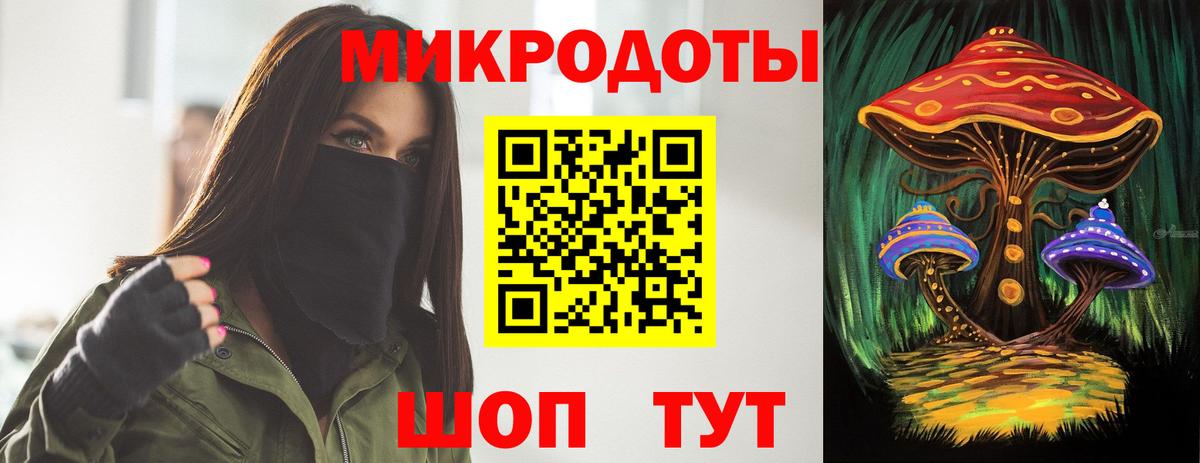 Галлюциногенные грибы Psilocybine cubensis Нижний Новгород